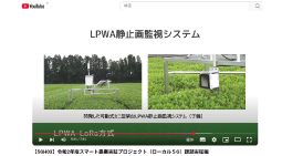 令和2年度スマート農業実証プロジェクト ローカル5G課題番号5GH03－課題実証編